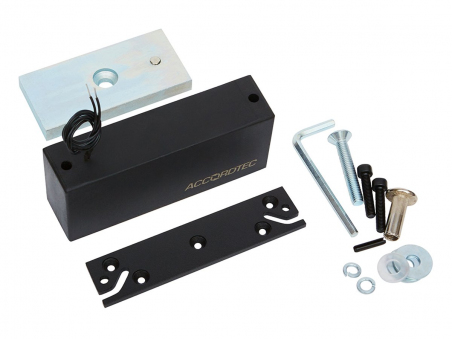 ML-300П с планкой черный