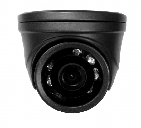 EMD-335 EverFocus антивандальная купольная видеокамера